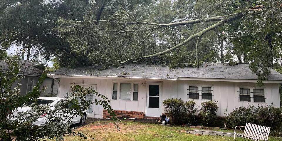 Storm damage in Columbus: fallen trees cause gas leak, hit home - NewsBreak
