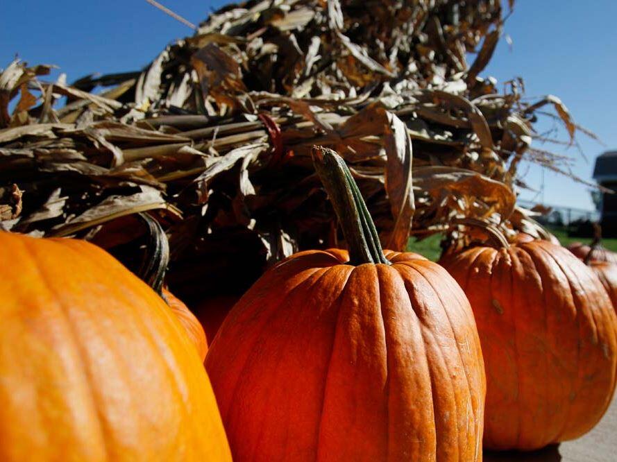 Bowling Green residents can recycle pumpkins