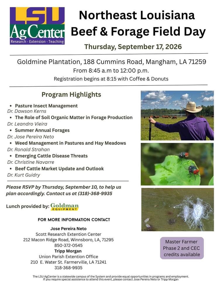 NELA Beef & Forage Field Day set for Sept. 17 - NewsBreak