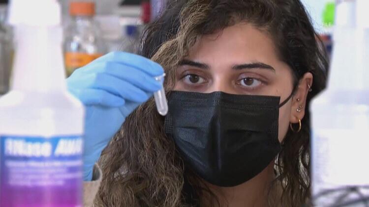 WSU researchers developed a new way to turn wastewater into renewable ...