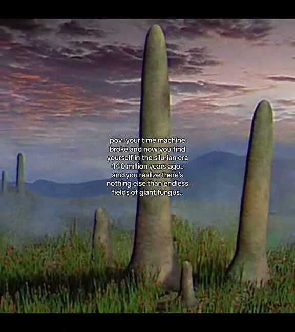 During the Silurian period around 440 million years ago the landscape ...