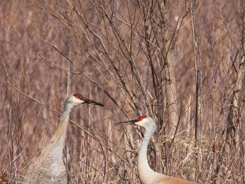 Briefs Marion City Hall closed Good Friday