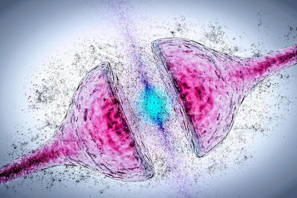 Scientists Restore Memory in Mice With Alzheimer’s by Boosting a Single ...