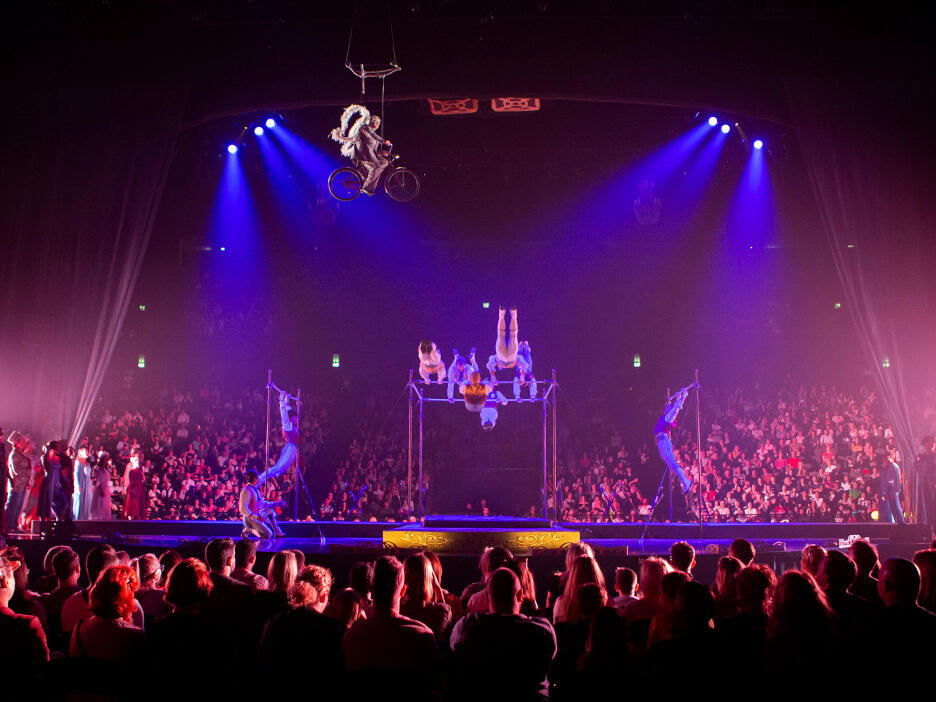 Top 20 Festivals & Events This Week in Houston February 26 to March 3