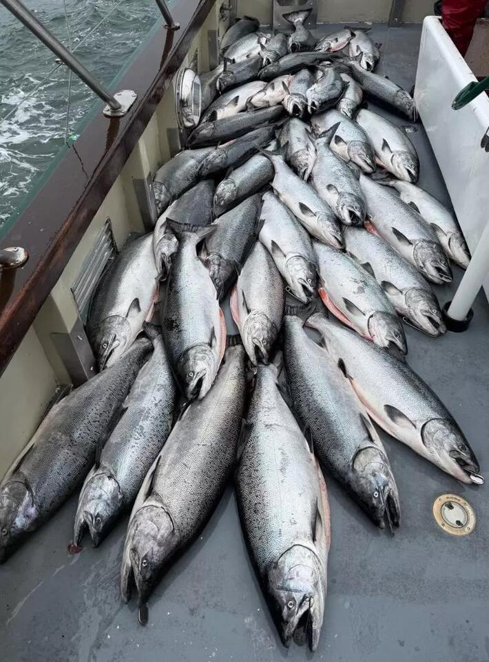 Lovely Martha Fish Report for 9-3-2026