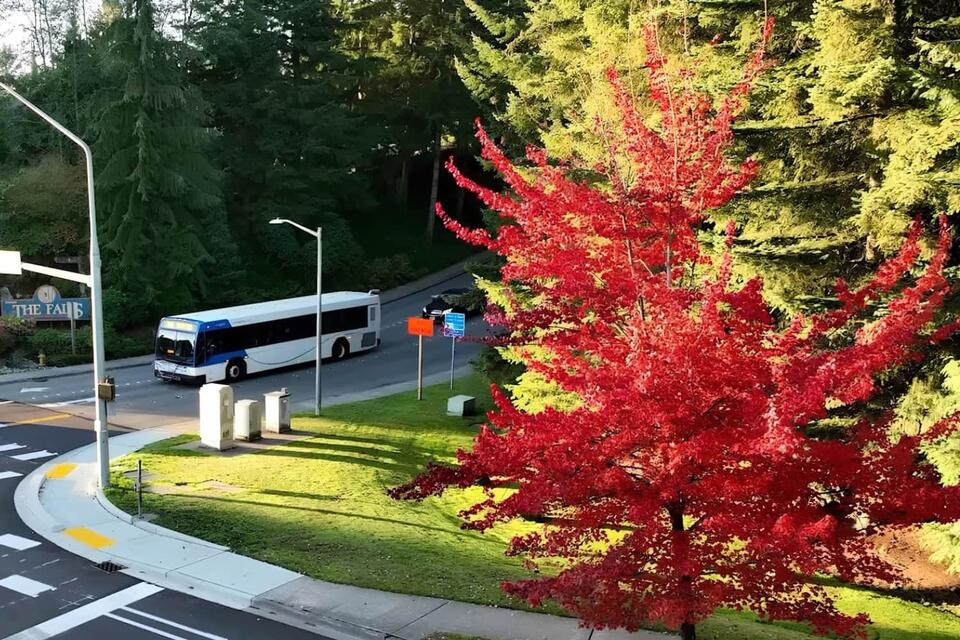 Ride into fall: your car-free guide to October events