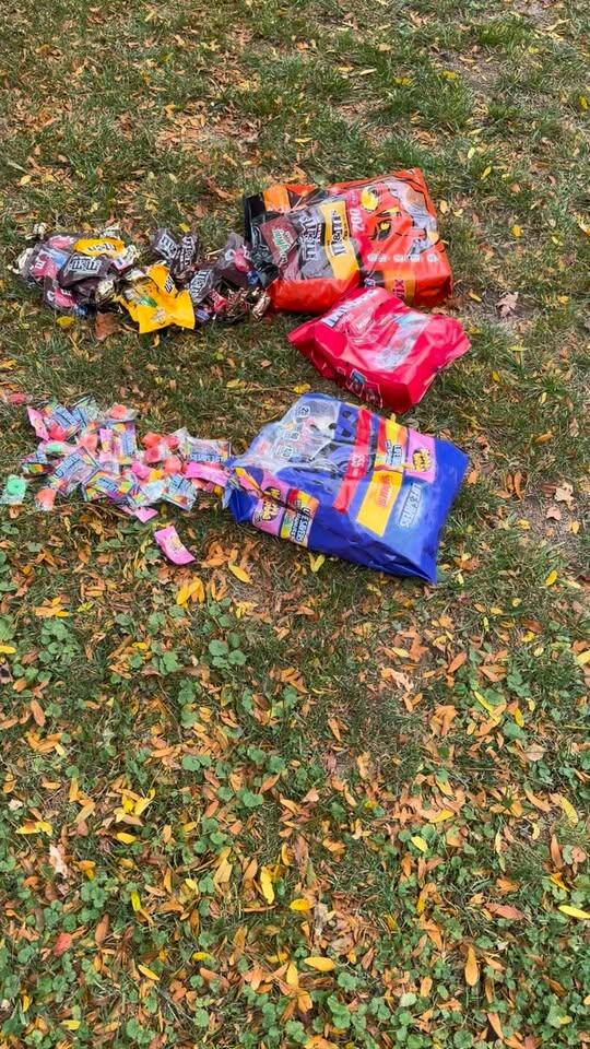 Fall Resource Fair and Donation Drive in Albany - NewsBreak