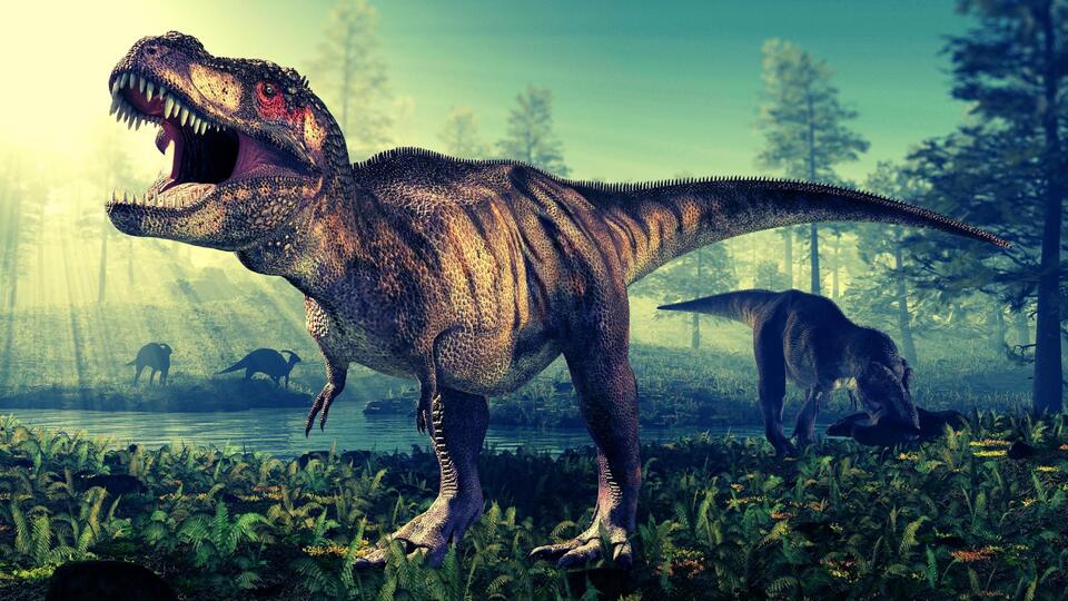 T. Rex Took Way Longer Than We Thought to Get Gigantic - NewsBreak