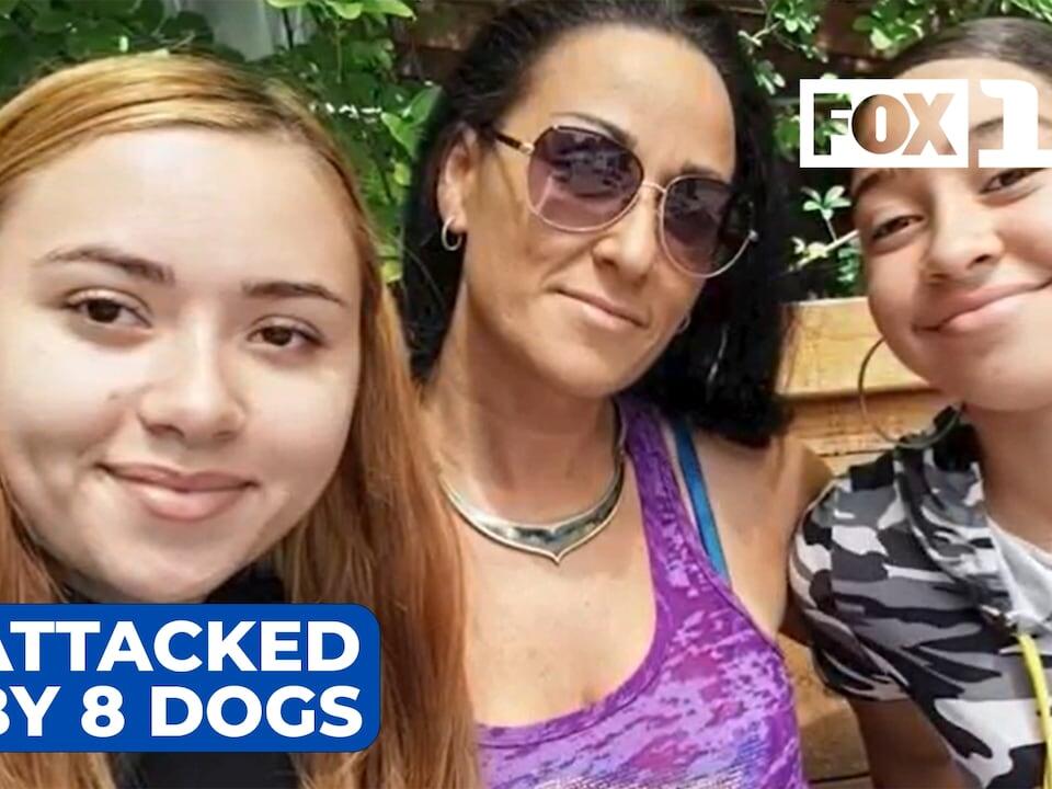 Portland woman attacked by 8 dogs, severely injured