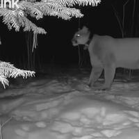 Minocqua, WI Lifestyle and More | NewsBreak