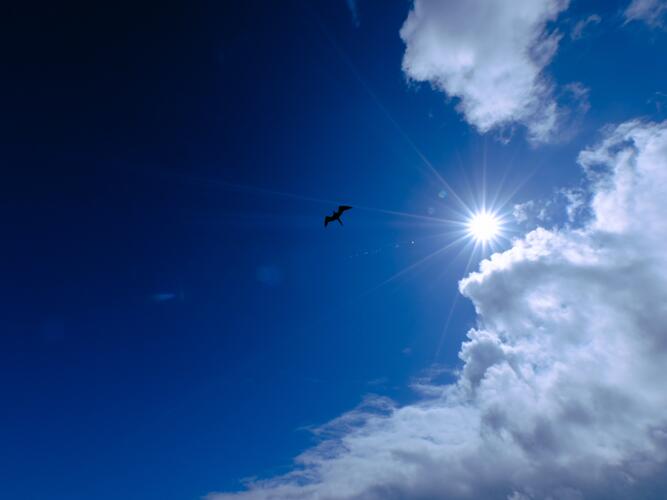 Daily Weather Forecast For Okmulgee