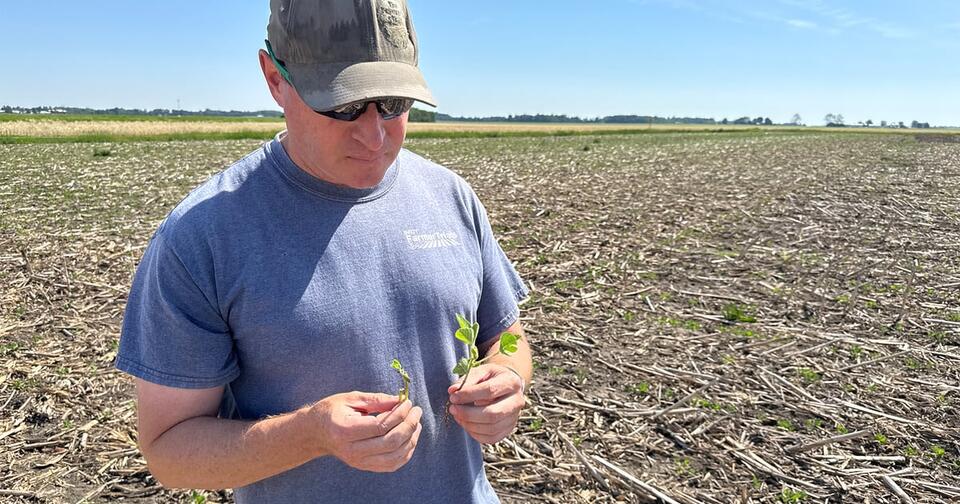Midwest farmers face split planting conditions in May
