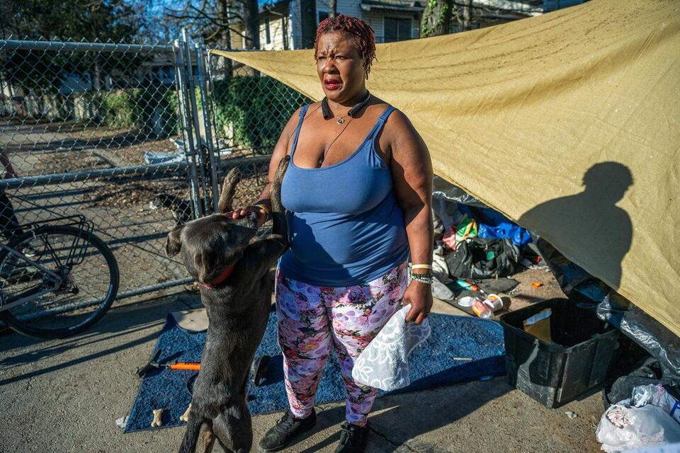 Can You Use Baby Shampoo on a Dog? [Quick Answer] - Can I Use Baby Shampoo On My Dog