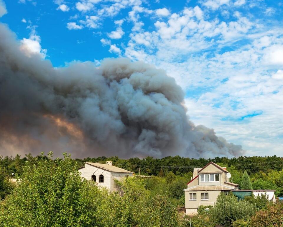 Wildfire smoke exposure in late pregnancy linked to autism risk - NewsBreak