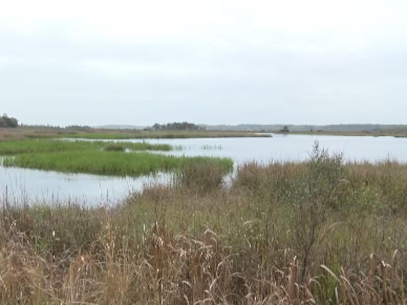 Nature conservationists gather in the Lowcountry to celebrate