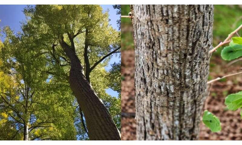 AI-generated images may support conservation, but real-world data remain essential
