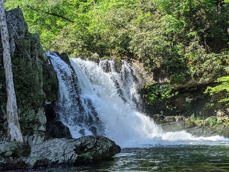 Is This Smoky Mountain Waterfall Tennessee’s Prettiest Free Hike Before the Leaves Drop?