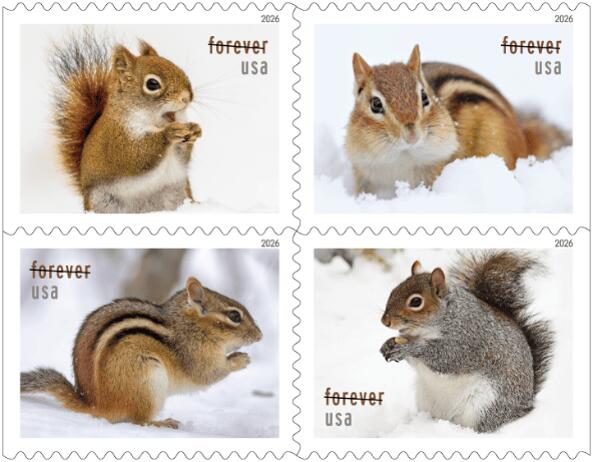 Squirrels & Chipmunks In Snow stamps scurry into post offices - NewsBreak