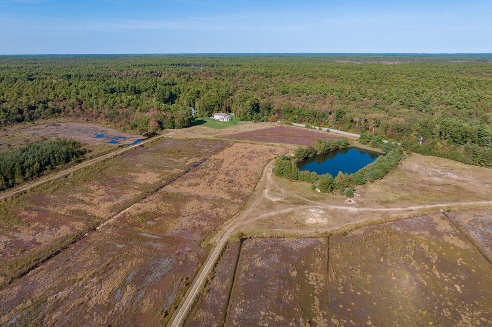Construction to Begin on Stuart Bogs Restoration - NewsBreak