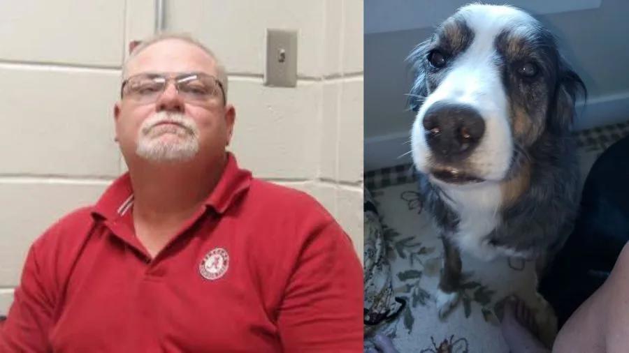 Marshall County man sentenced in killing of elderly dog - NewsBreak