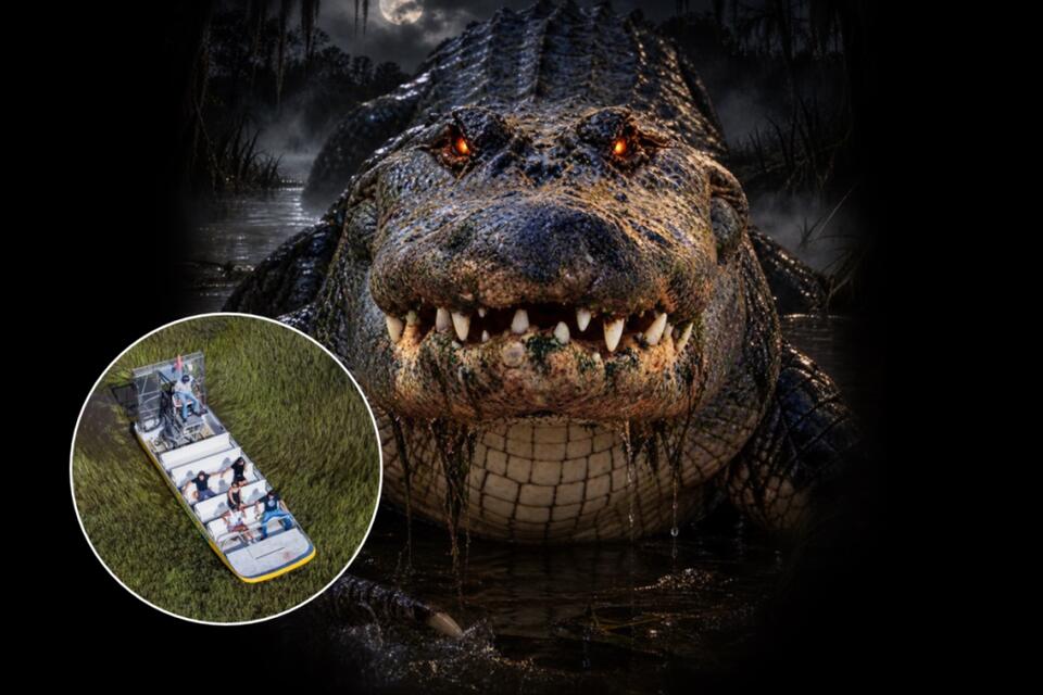 This Everglades attraction is bringing together live actors, gators and ...