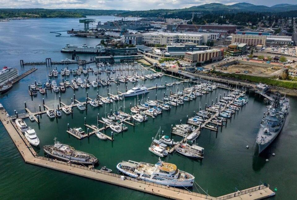 Otter-ly Lucky: Bremerton Kid and Mom Escape Attack from Angry River Otter