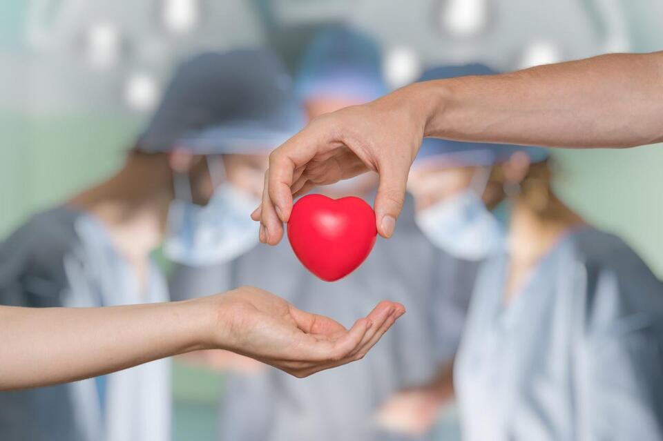 NCH plans advanced heart care and organ transplant program - NewsBreak