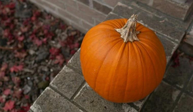 Seven Kids Caught on Camera Trashing Halloween Décor at Vancouver Home ...