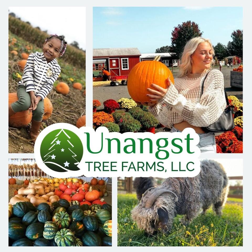 Unangst Tree Farms fall season opening dates - NewsBreak