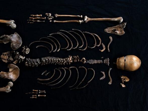 Man thrown down well over 800 years ago finally identified thanks to DNA