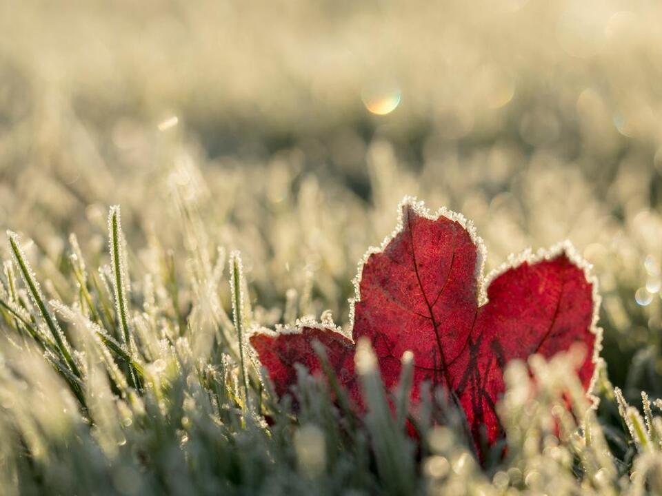 How Soon Could Montana See Its First Frost?