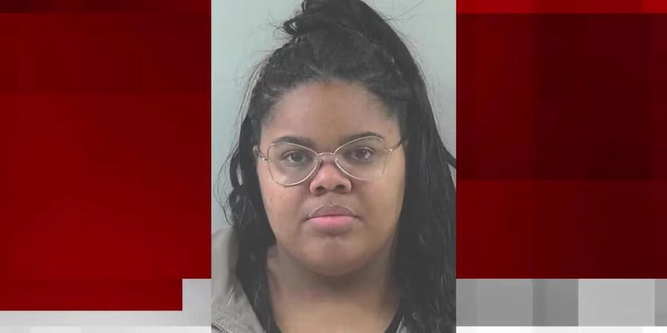 Fort Wayne woman pleads guilty to one of 18 federal fraud charges in ...