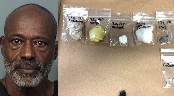 Brevard County Man Arrested After Found in Possession of Meth and ...