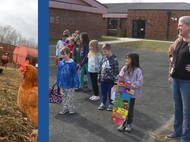 What these Virginia students are learning by chasing chickens