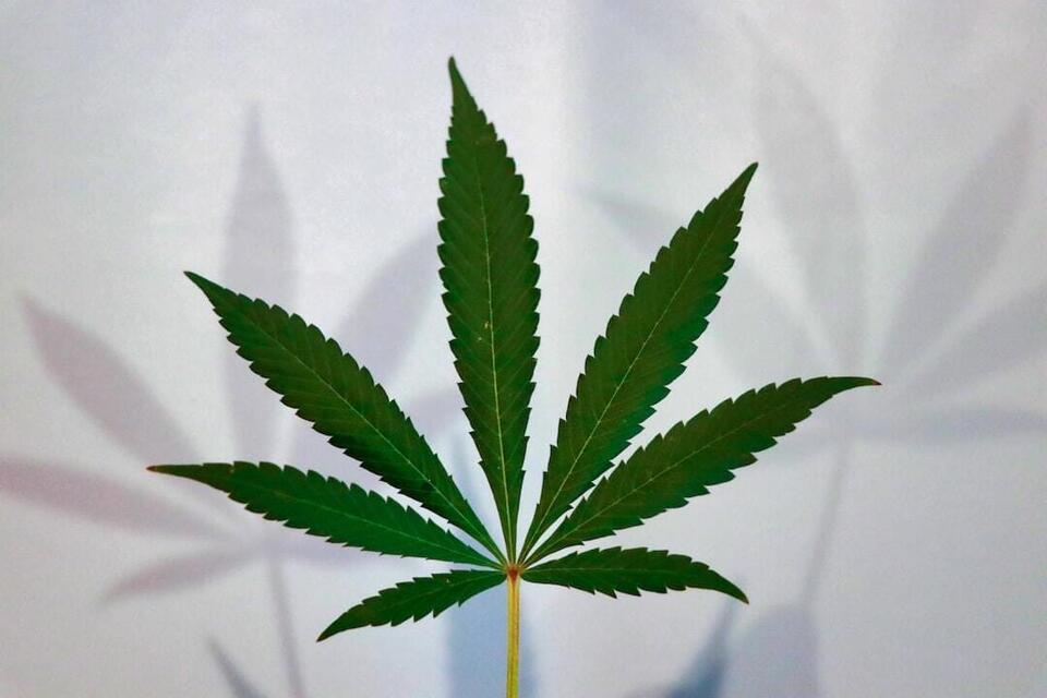 Kentucky’s medical cannabis market is open. But patients are slow to arrive.