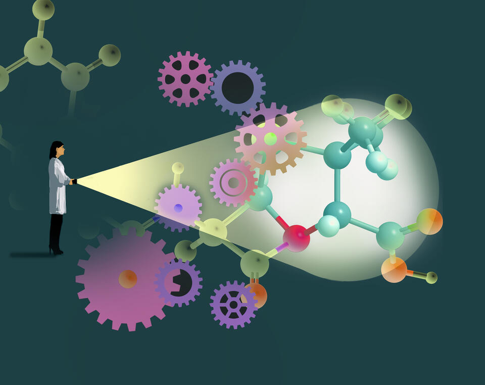 Why We Must Invest in Scientists, Not Just Science - NewsBreak