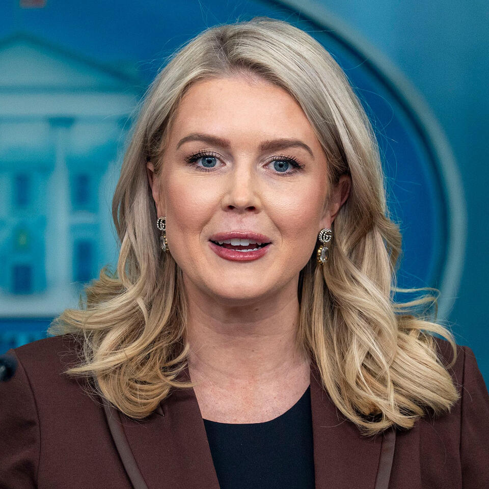 Social Media Calls Karoline Leavitt 'Disgraceful' After She Says Epstein Files Are A 'Classic Washington Hoax' In Resurfaced Interview Clip: 'She’s A Mother!'