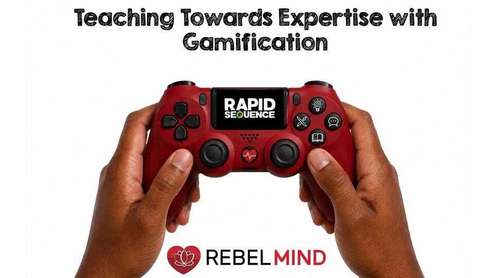 REBEL MIND – Teaching Towards Expertise with Gamification