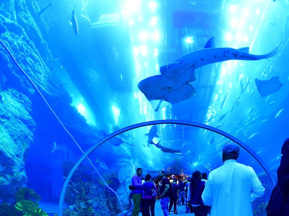 Dubai Mall, one of the world’s largest, is getting even bigger with a
