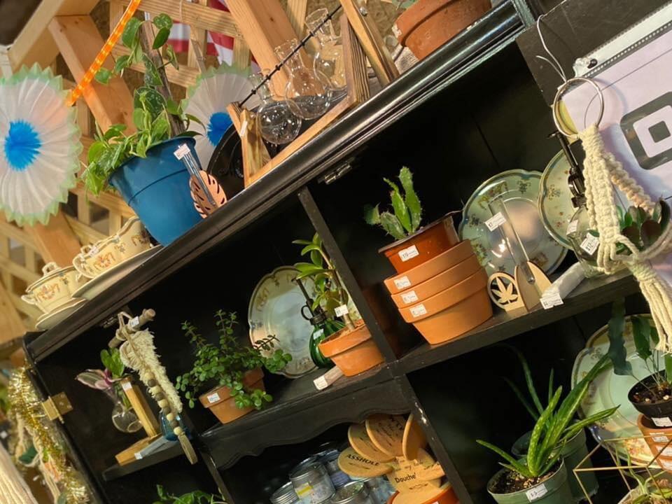 Botany Tropicals Growing to Second Location in Princeton, Grand Opening