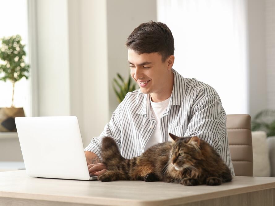 What States Allow Online Vet Prescriptions? (2024 Guide)