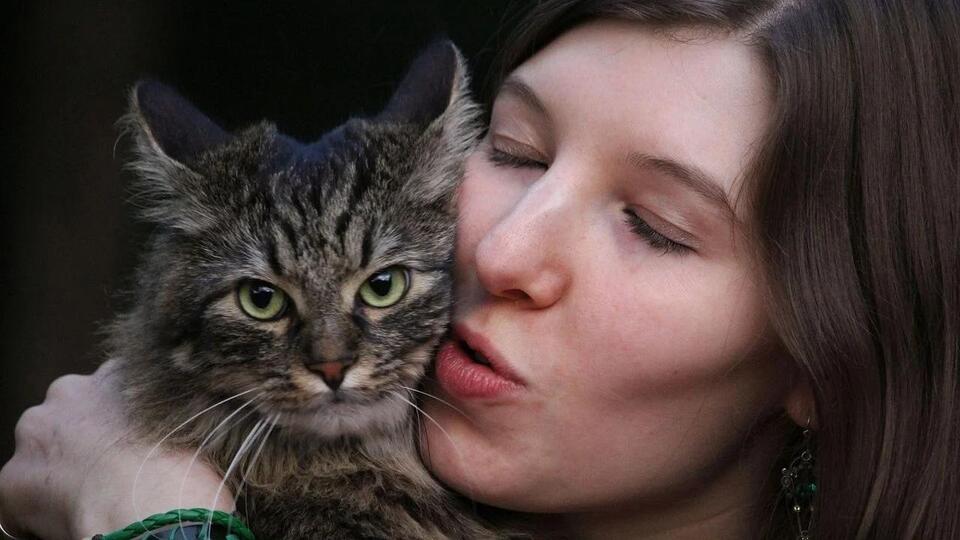 Your Cat’s Affection Is Earned, Not Given Freely - NewsBreak