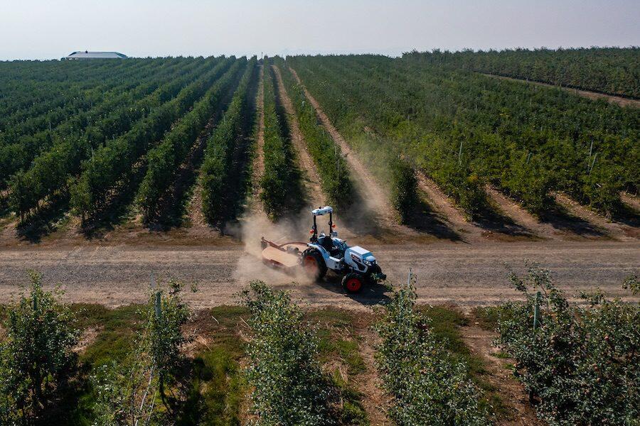 Okanagan Specialty Fruits CEO Neal Carter buys back orchard he founded ...