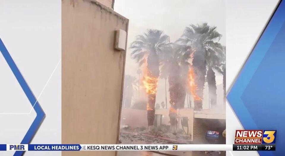 Lightning strike catches Palm Springs trees on fire - NewsBreak