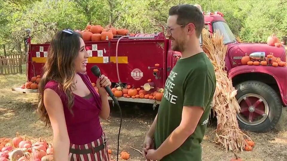 Enjoy the Winding Branch Ranch pumpkin patch and give back to livestock ...