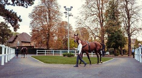 German Derby Runner-Up Chiefland Among Arc Sale Entries