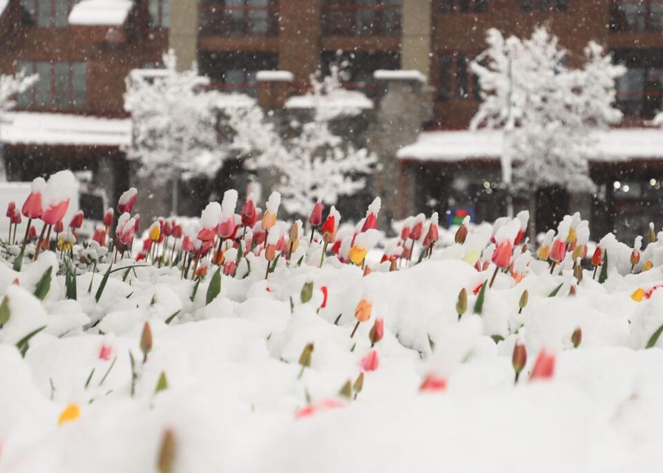 Apres April: Winter is over but snow keeps falling - NewsBreak