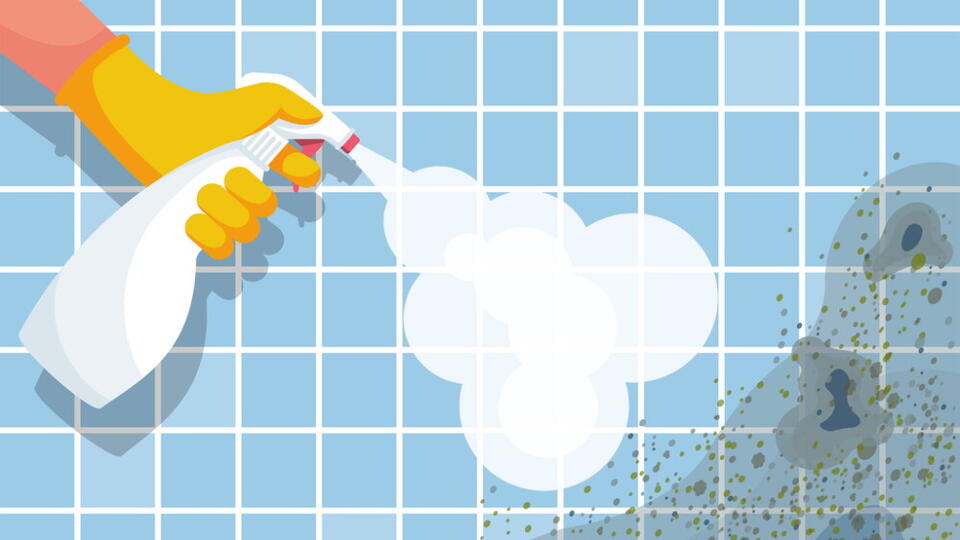 Jubilant draws FDA rebuke for delayed mold investigation and quality ...