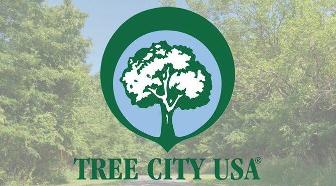 🌳 Springfield Township Named 2025 Tree City USA for 18th Year - NewsBreak