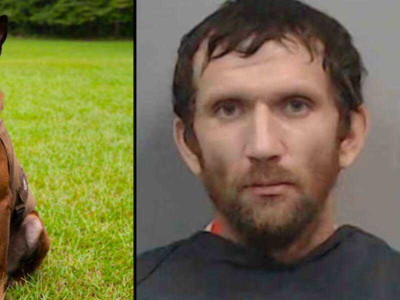 South Carolina Man Charged Federally After Killing Police K-9 in ...